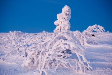 Фото горнолыжного курорта Лапландия-Лапарь Стан в Мурманская область
